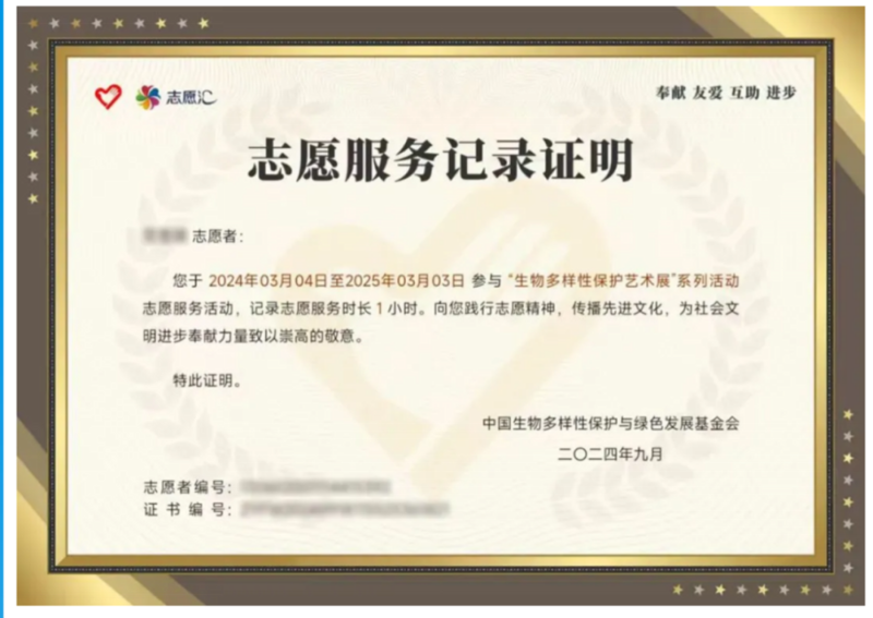 表达性艺术治疗证书